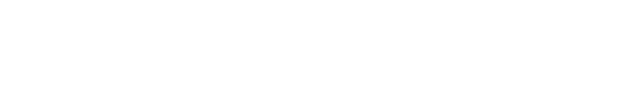 CI Web Group
